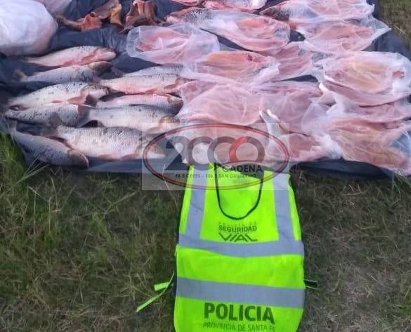 pescado