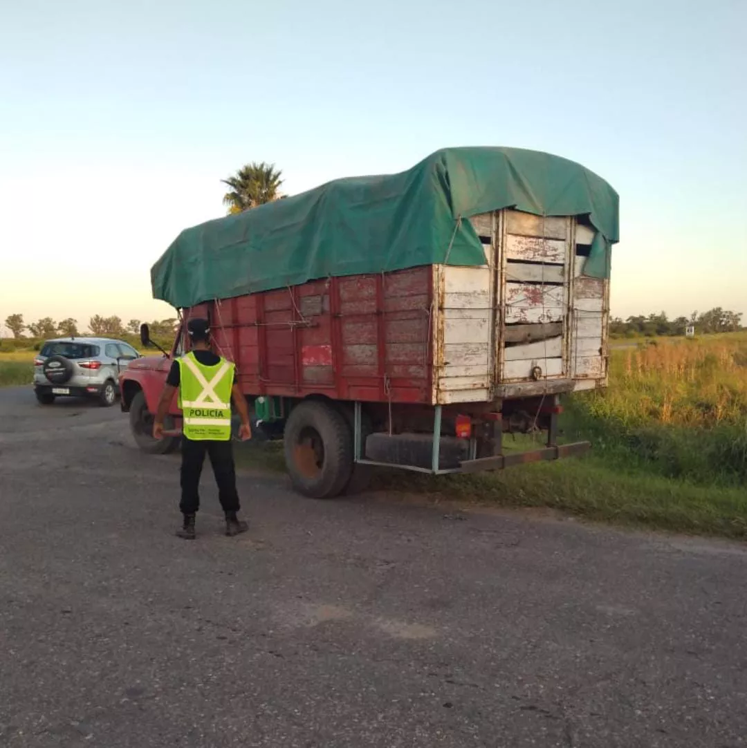 WhatsApp Image 2022-02-20 at 8.55.21 PM