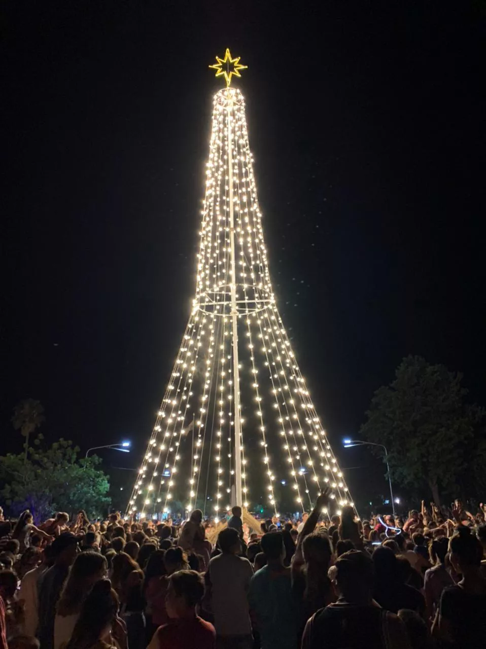 arbol-3