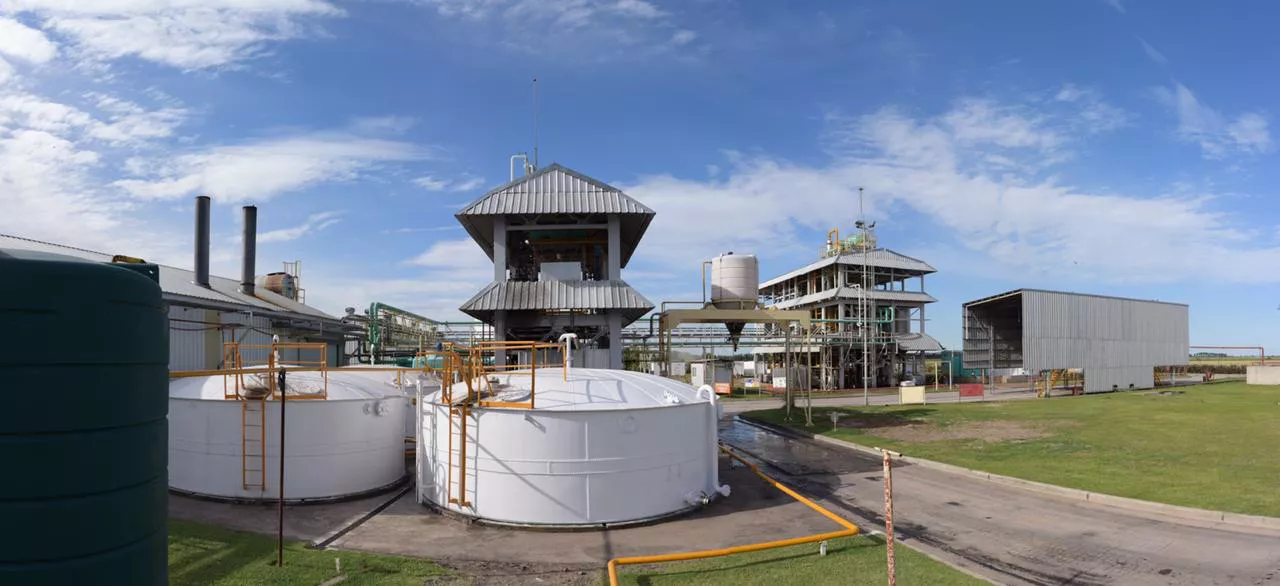 WhatsApp Image 2022-07-10 at 9.51.52 AM