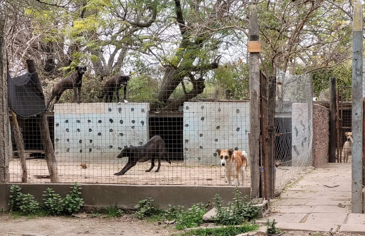 WhatsApp Image 2022-06-24 at 11.56.34 AM (1)