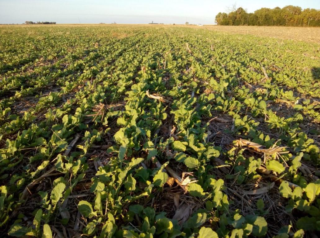 606e17875d672_938_699!