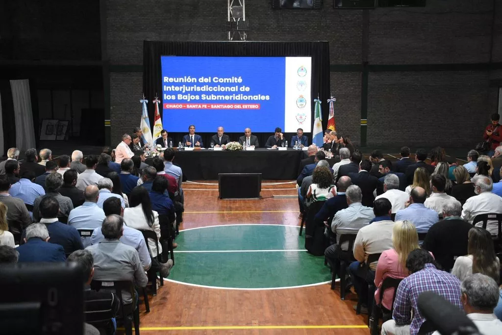 460526_comite_bajos_submeridionales_1