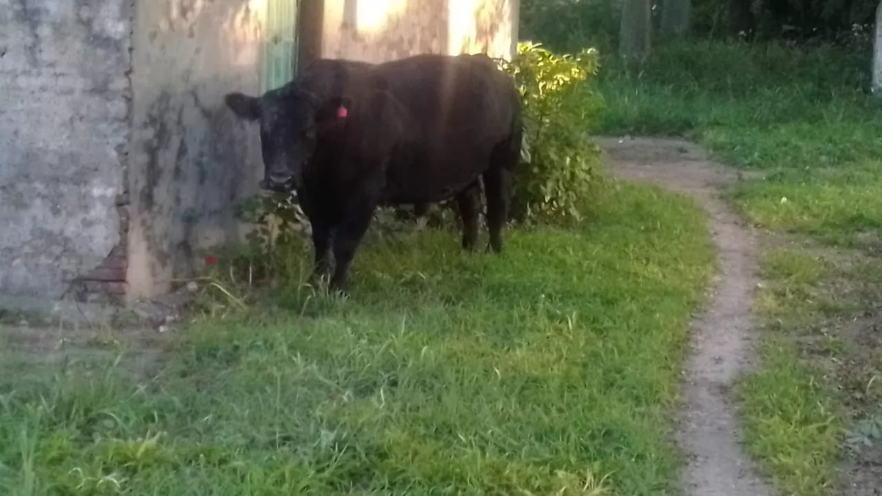 f9463ff1-3442-4a1f-bd89-8f3438886f08