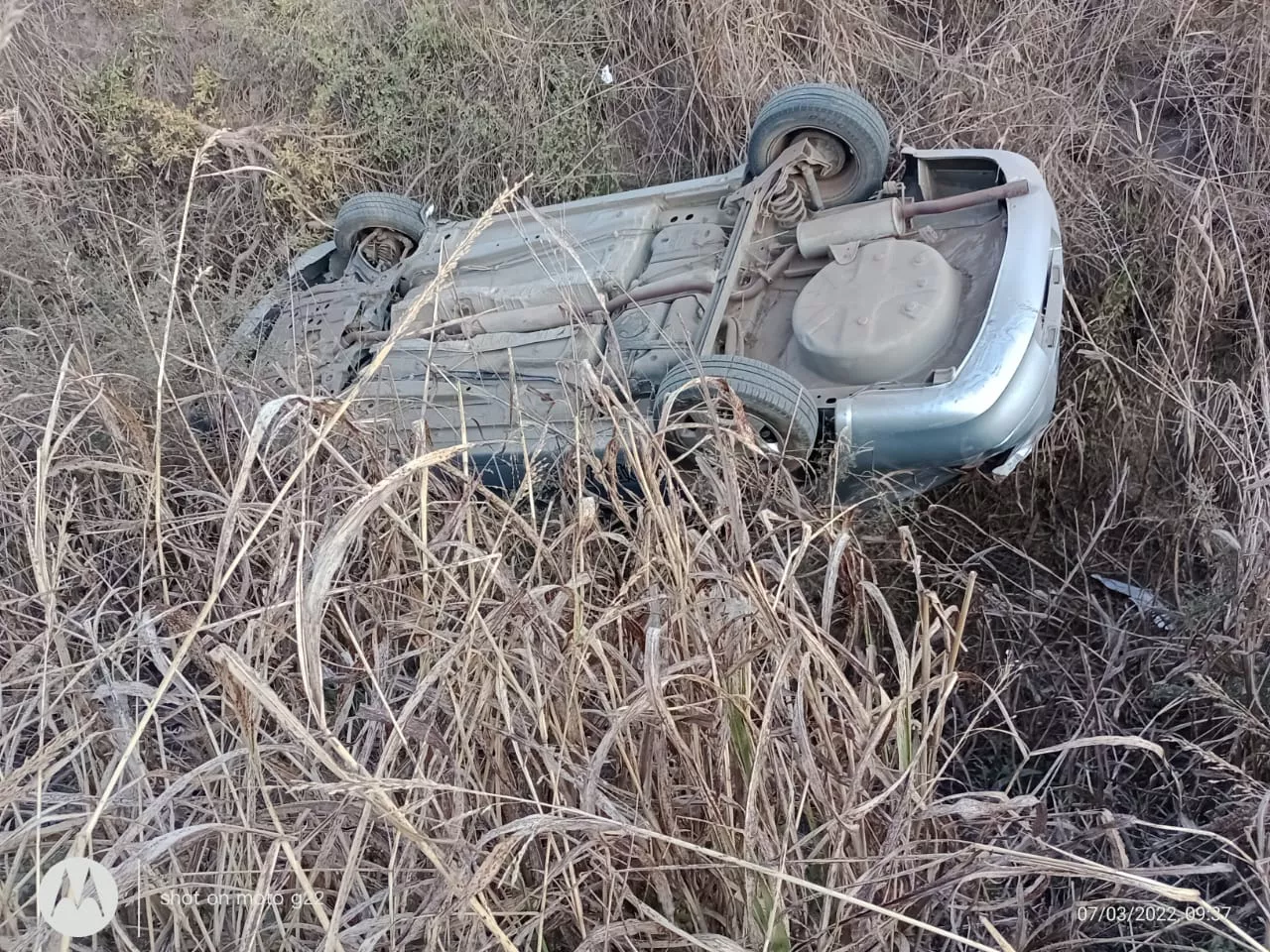 951ece21-4ebe-41c9-9066-1868f6eb4081