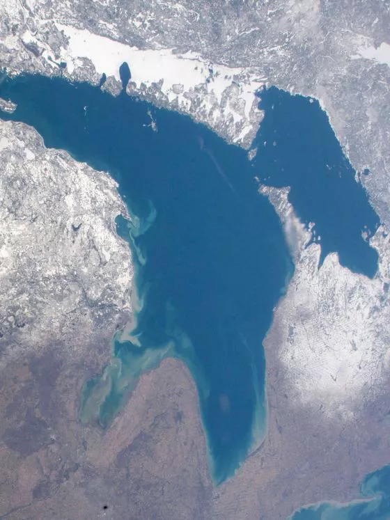 f.elconfidencial.com_original_c16_154_49f_c1615449f8b9b5f8b1fb40b77ff05391