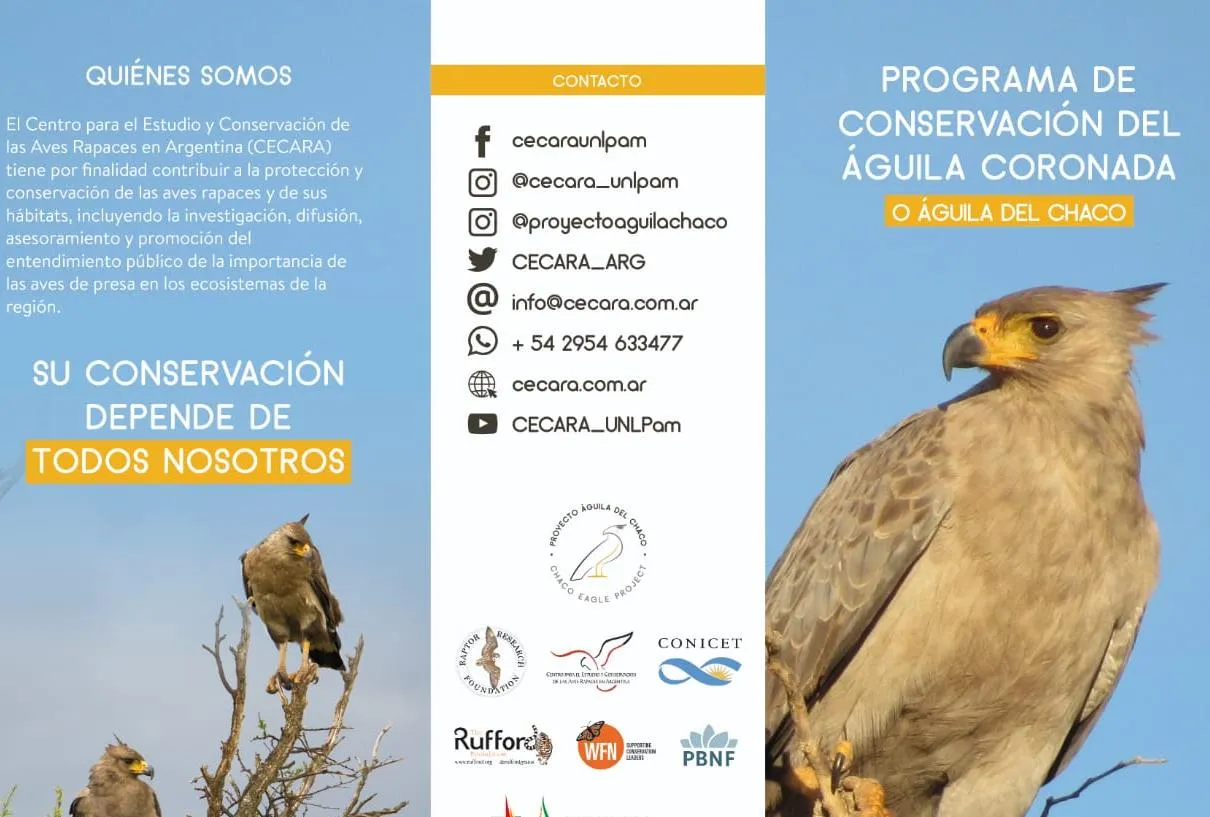 aguila2