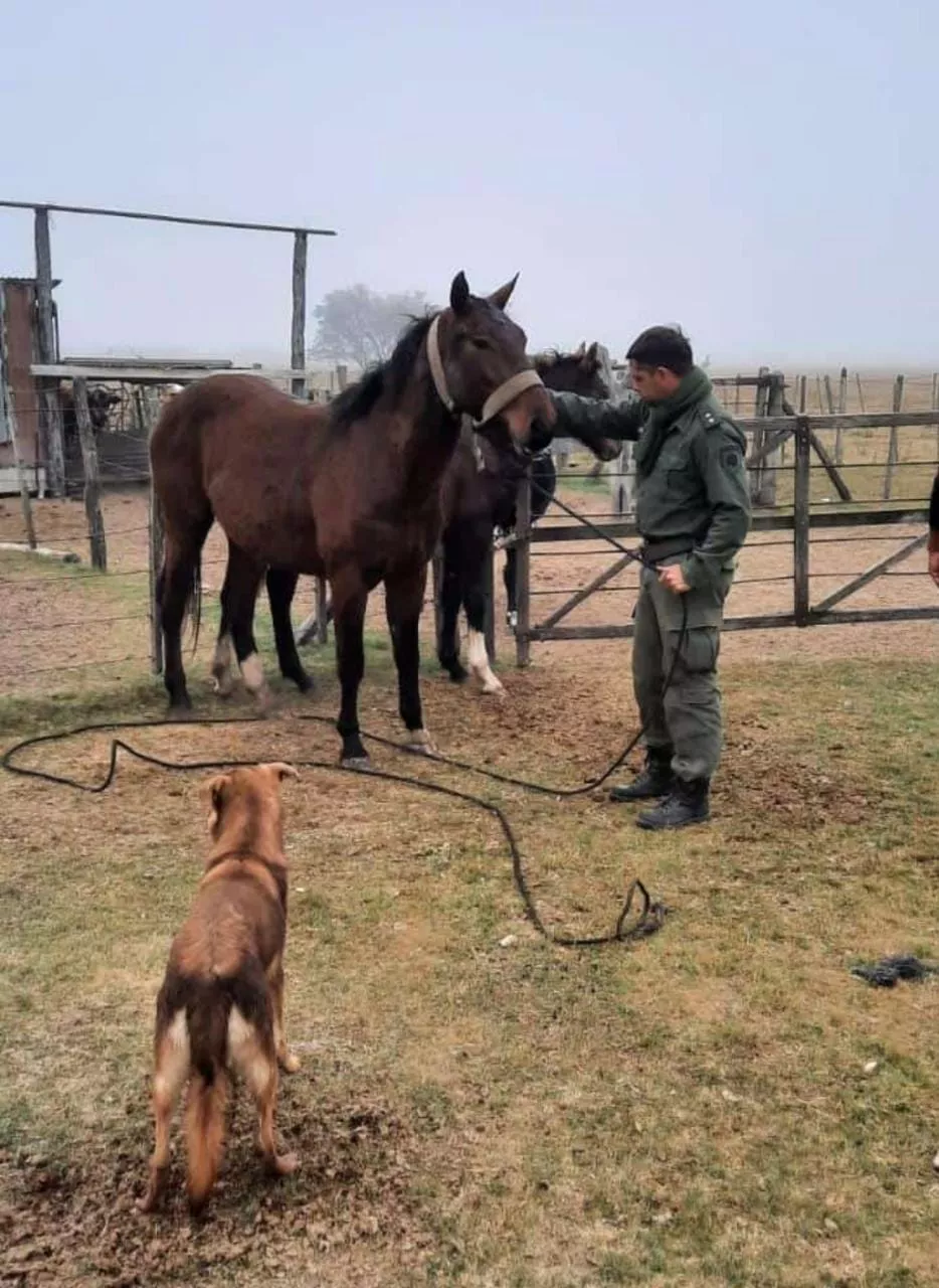 390741de-8ffe-4ca7-8fe8-bf9a6e6e9ac6