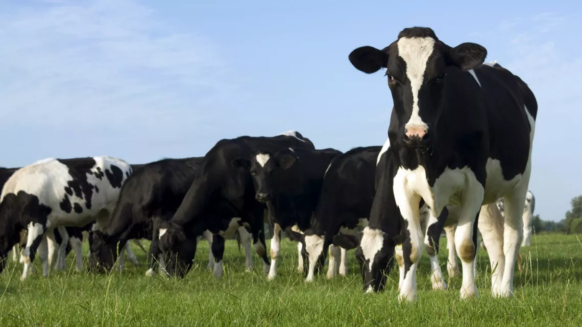 WhatsApp Image 2022-01-31 at 1.12.04 PM