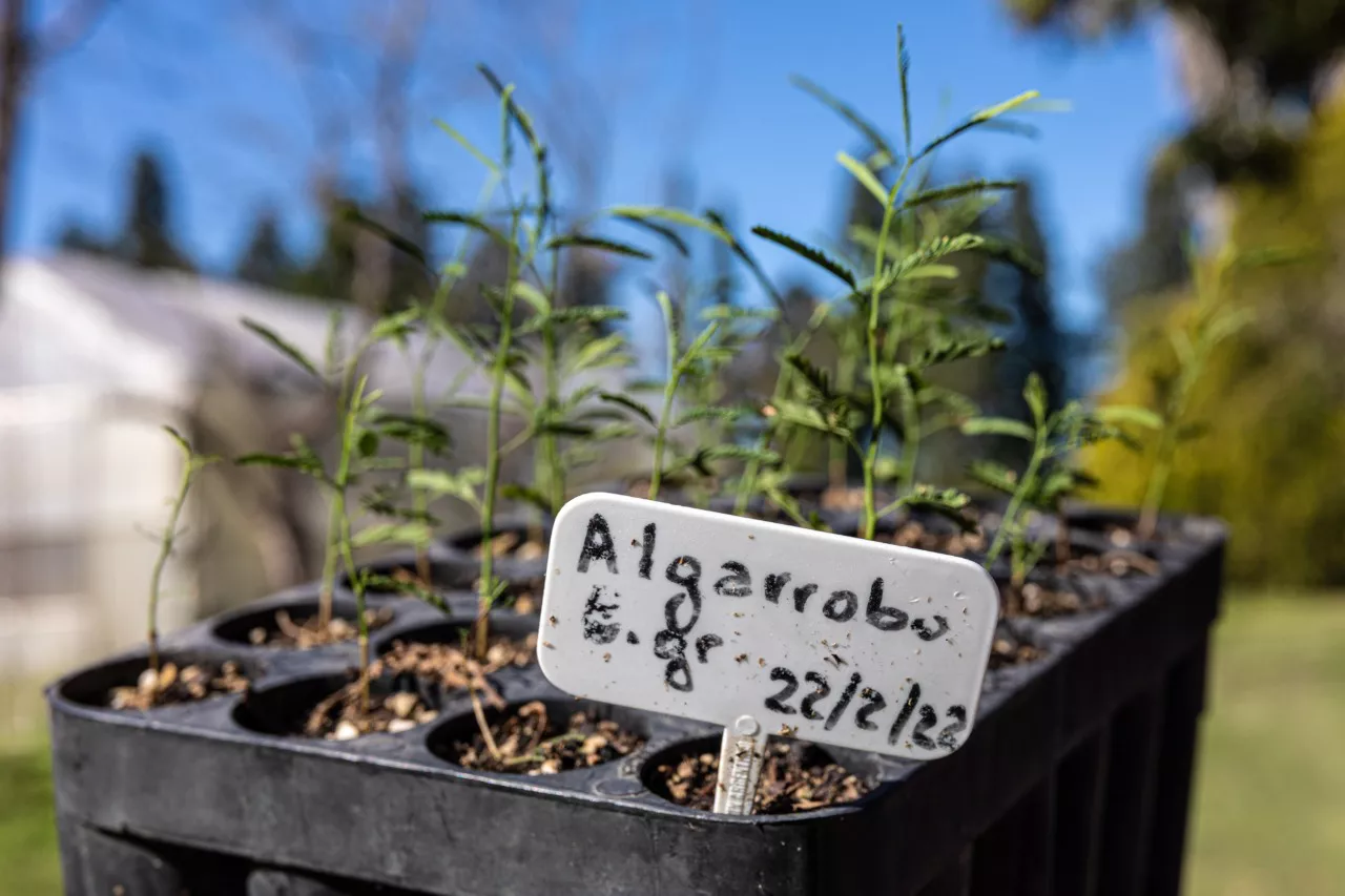 fcb35d5e-1638-411a-975b-f6df66eb7815