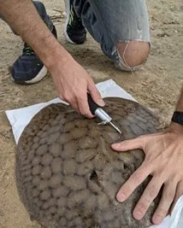 IMG-20251103-WA0010 (2) (1) (1)_thumb