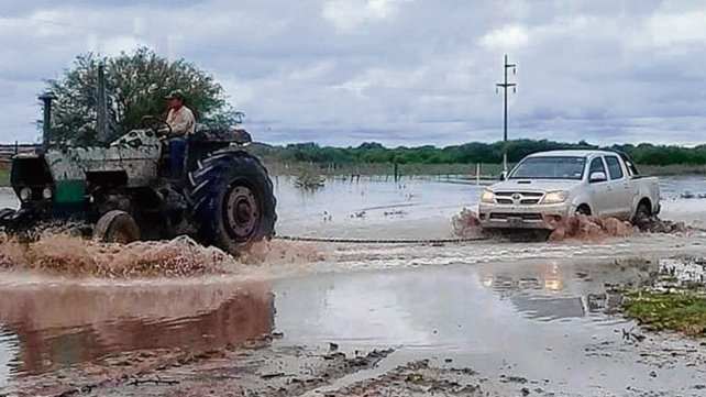 0025264560