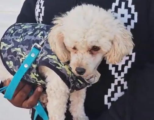 fa6f59ed-2cdd-42dd-a4ce-d2728ec77b17