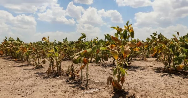 Santa-Fe-productores-sequia-financiamiento-500-hectareas
