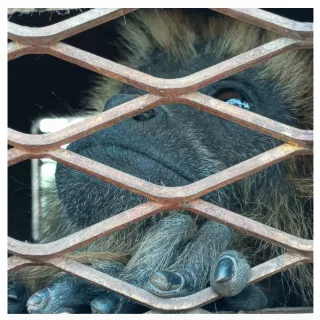 Screenshot_20221118-105028_2_thumb