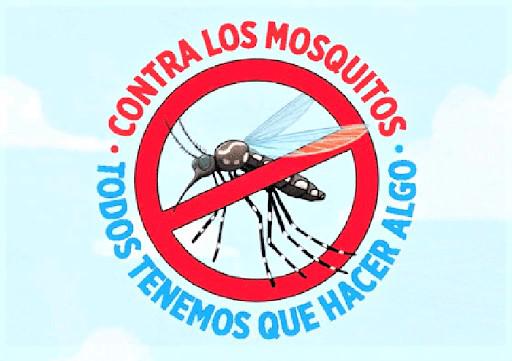 dengue21