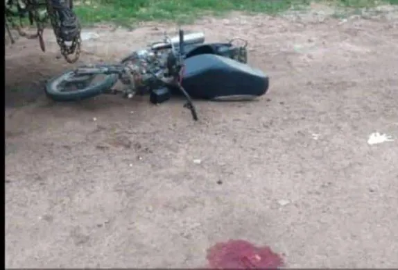 WhatsApp Image 2024-10-18 at 5.20.19 PM