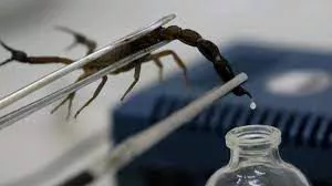 4B7C50F5-428A-4FCE-8408-79147B5CC789