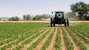 agroalimentario