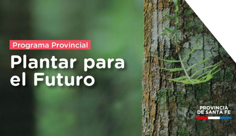 Programa Provincial de Forestación