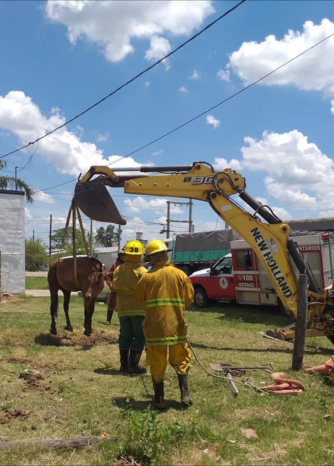 WhatsApp Image 2020-12-27 at 2.43.13 PM