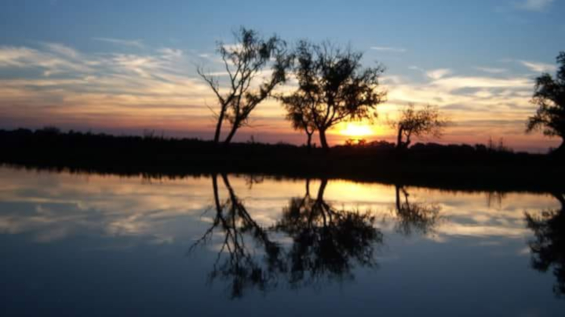 humedales