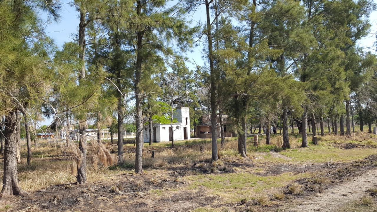 WhatsApp Image 2020-11-07 at 19.51.42