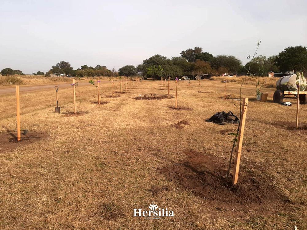 447674689_469406912341091_6757185365876442209_n