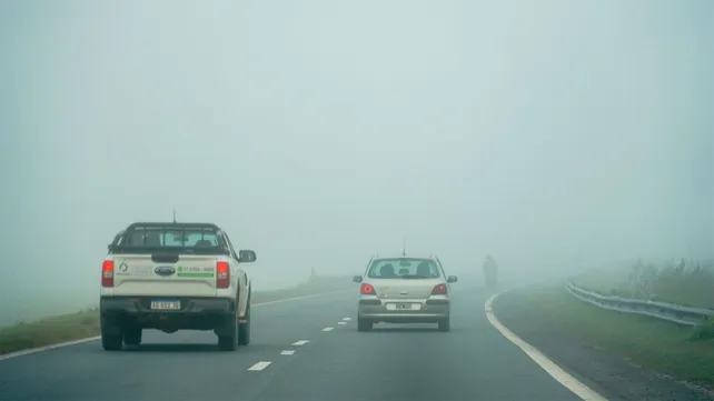 niebla02jpg