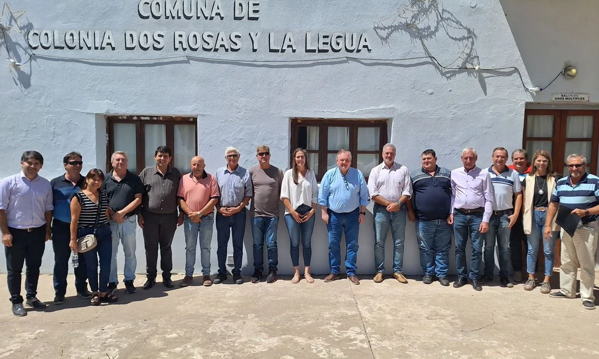 colonia-2-rosas-1