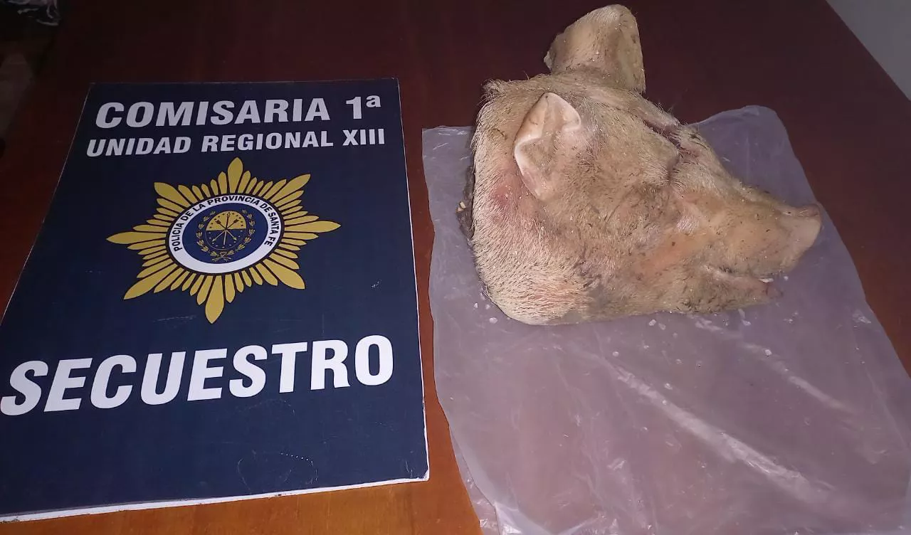 17ed84e2-f2dc-4f7f-b825-8899c007036c