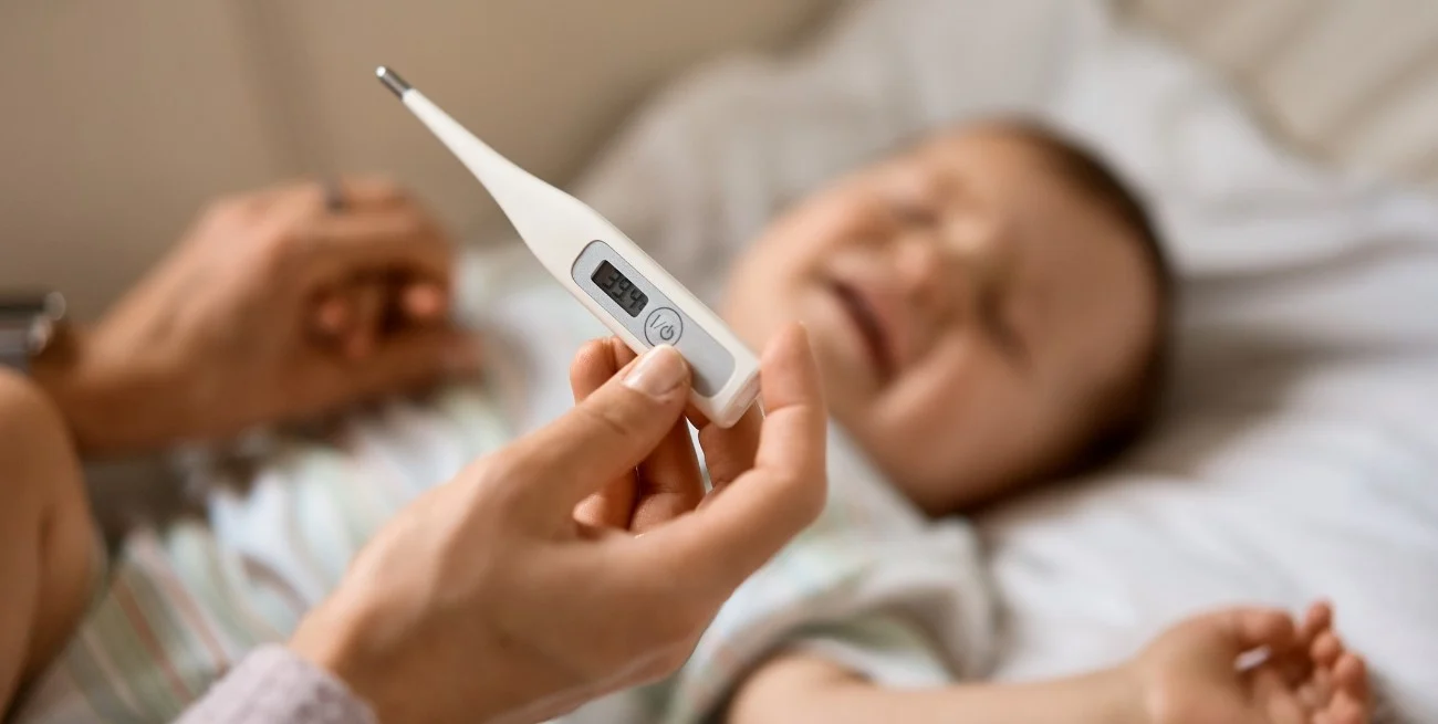 H1D6m_hOB_1300x655__1