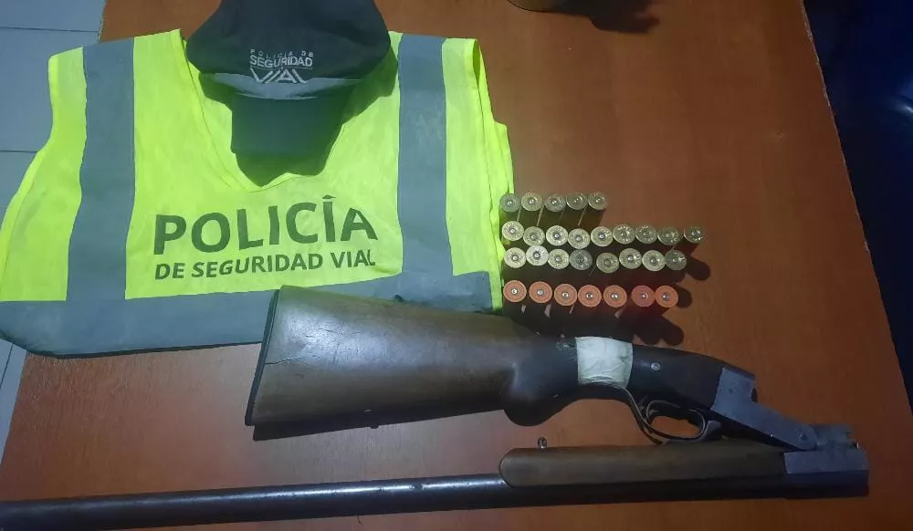tenencia arma