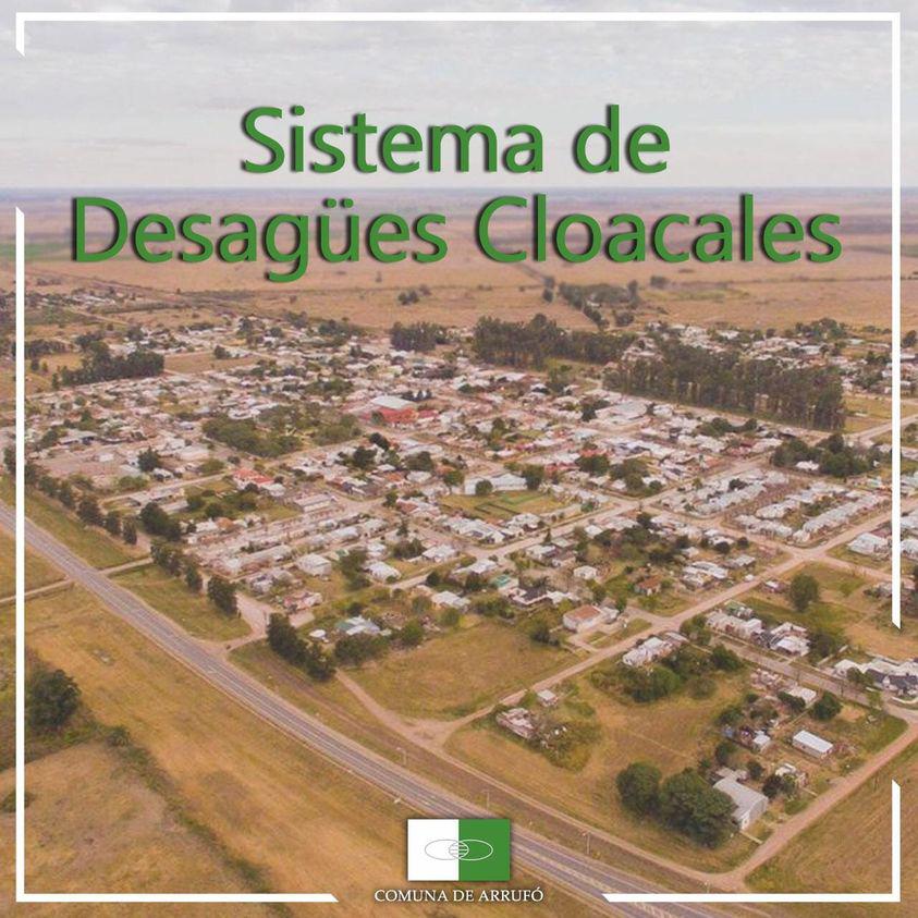 cloacas arrufó