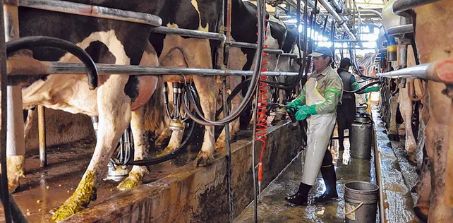 agro_03_-_8550170__02-07-2020__0x0jpg