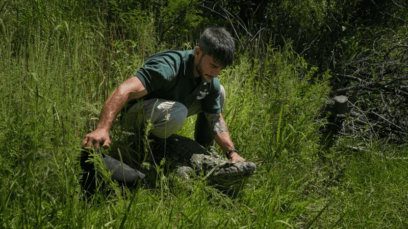 20260118-dsc02894_-1-.png_315682333