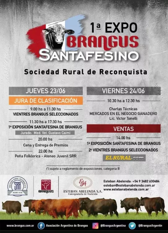 expo brangus
