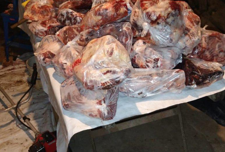 carne-abigeato