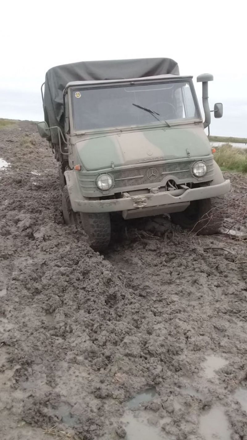 Unimog