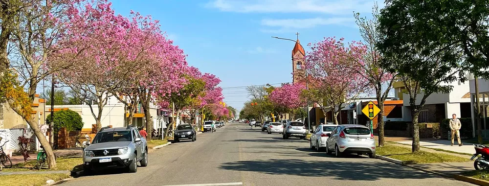 sangui