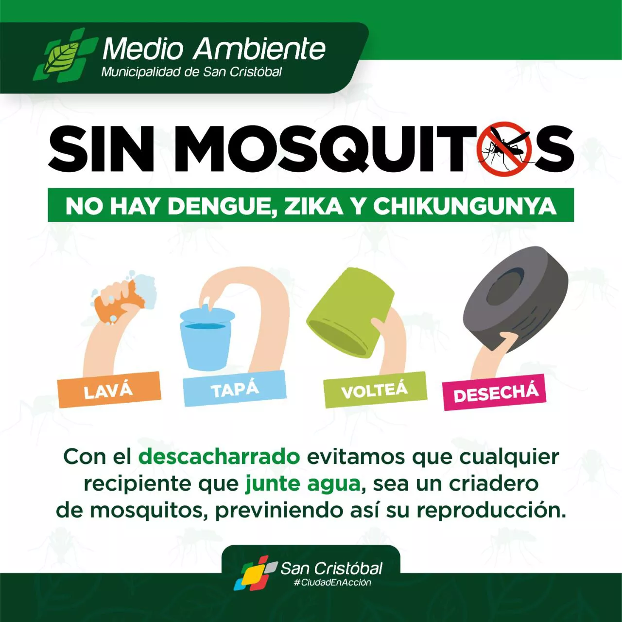 dengue2