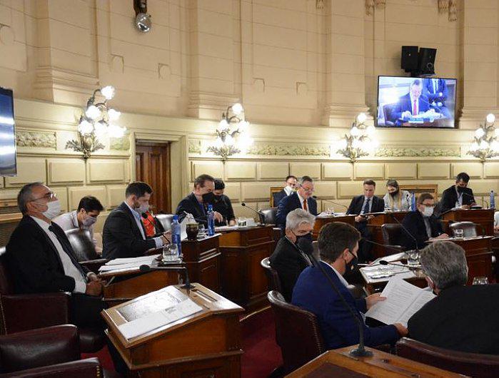 16445-senadores-barbijos1