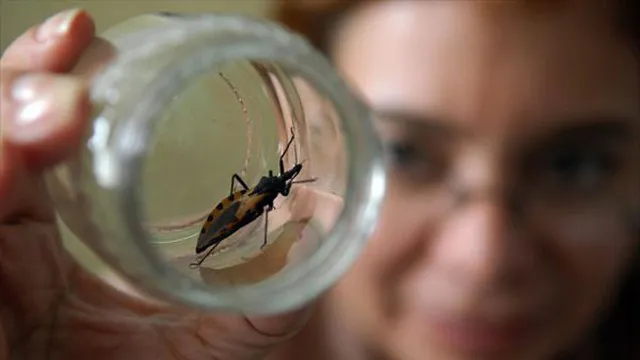 Chagas_vga