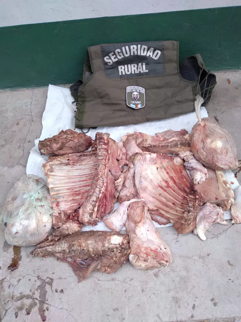 WhatsApp Image 2022-01-19 at 11.37.29 PM (1)