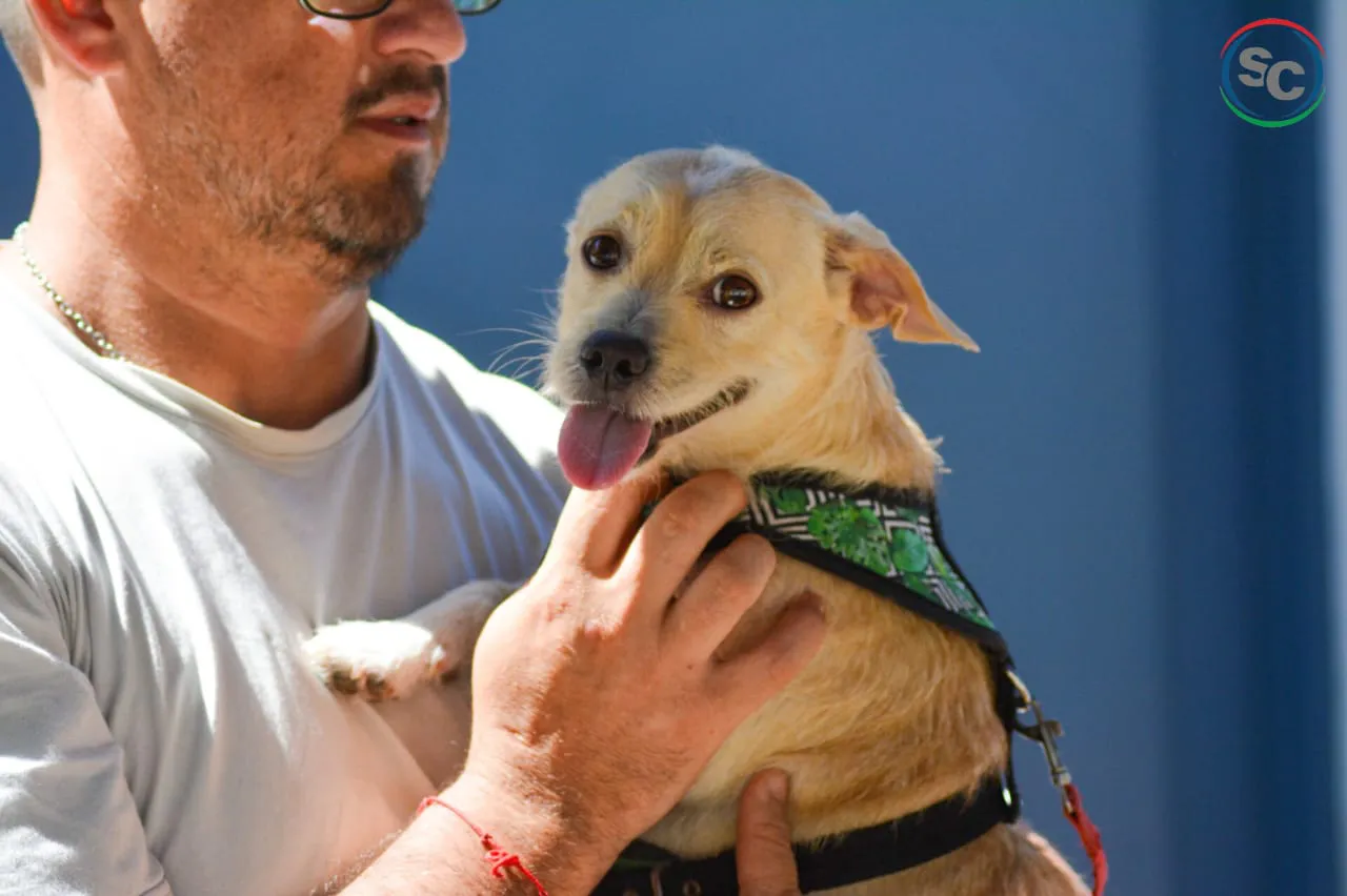 0c457aa8-b7ca-4a64-b982-56c4979140d5