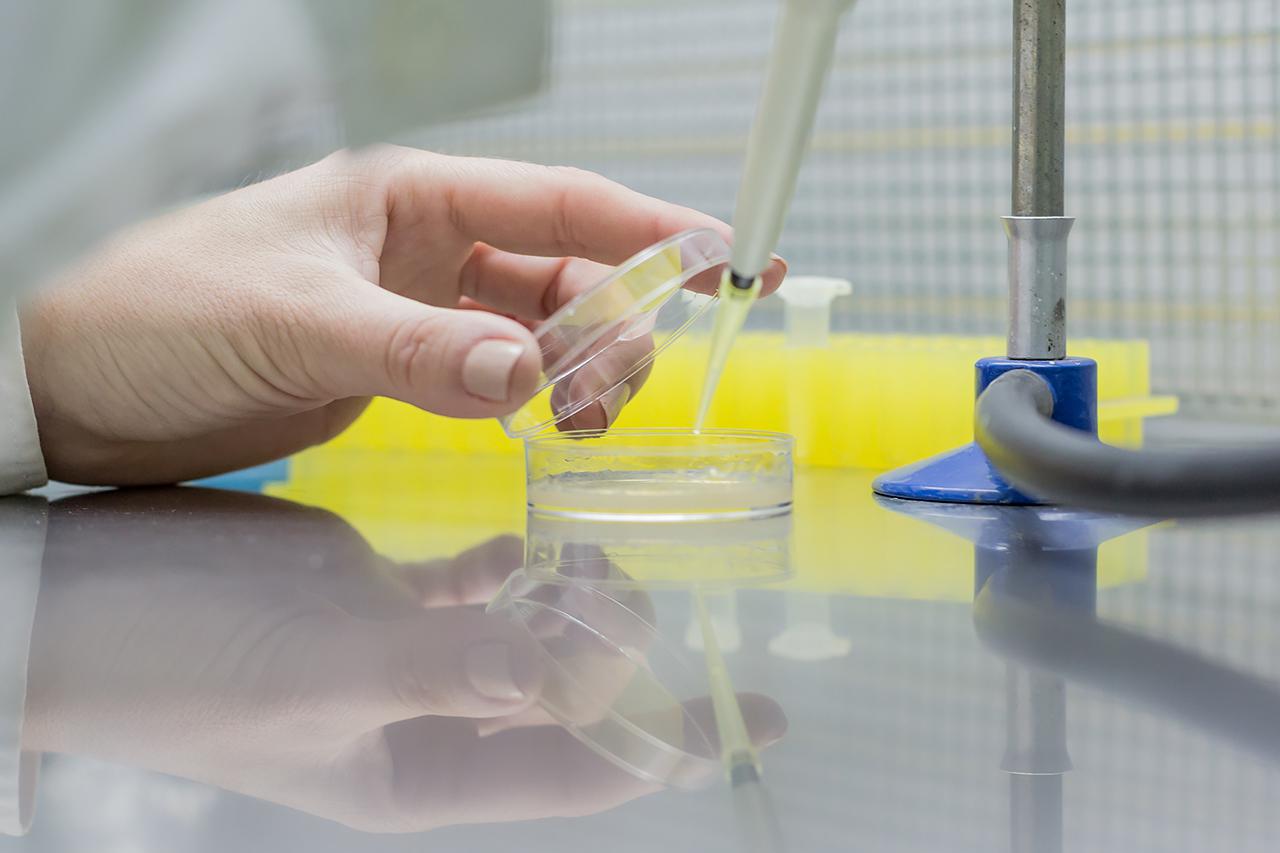 De ZAN laboratorio de cultivos celulares (1)