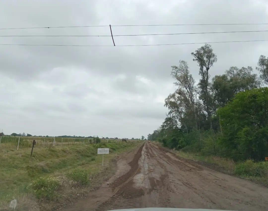 d76b0f32-6f69-4045-bdc9-68fc031fa1b7