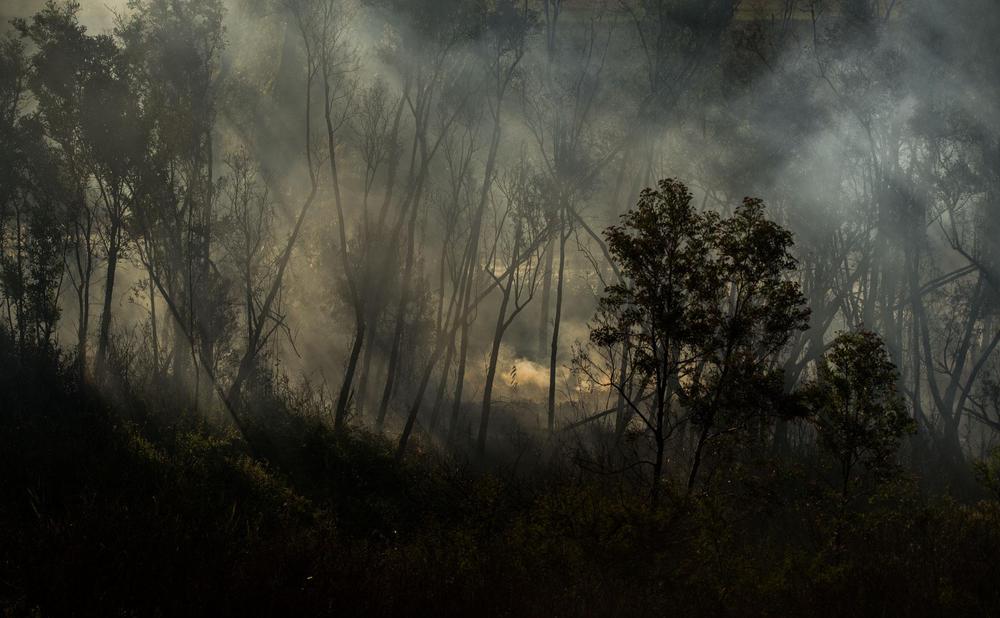 Ph_Eduardo Bodiño_Incendio_Del_Humedal_2