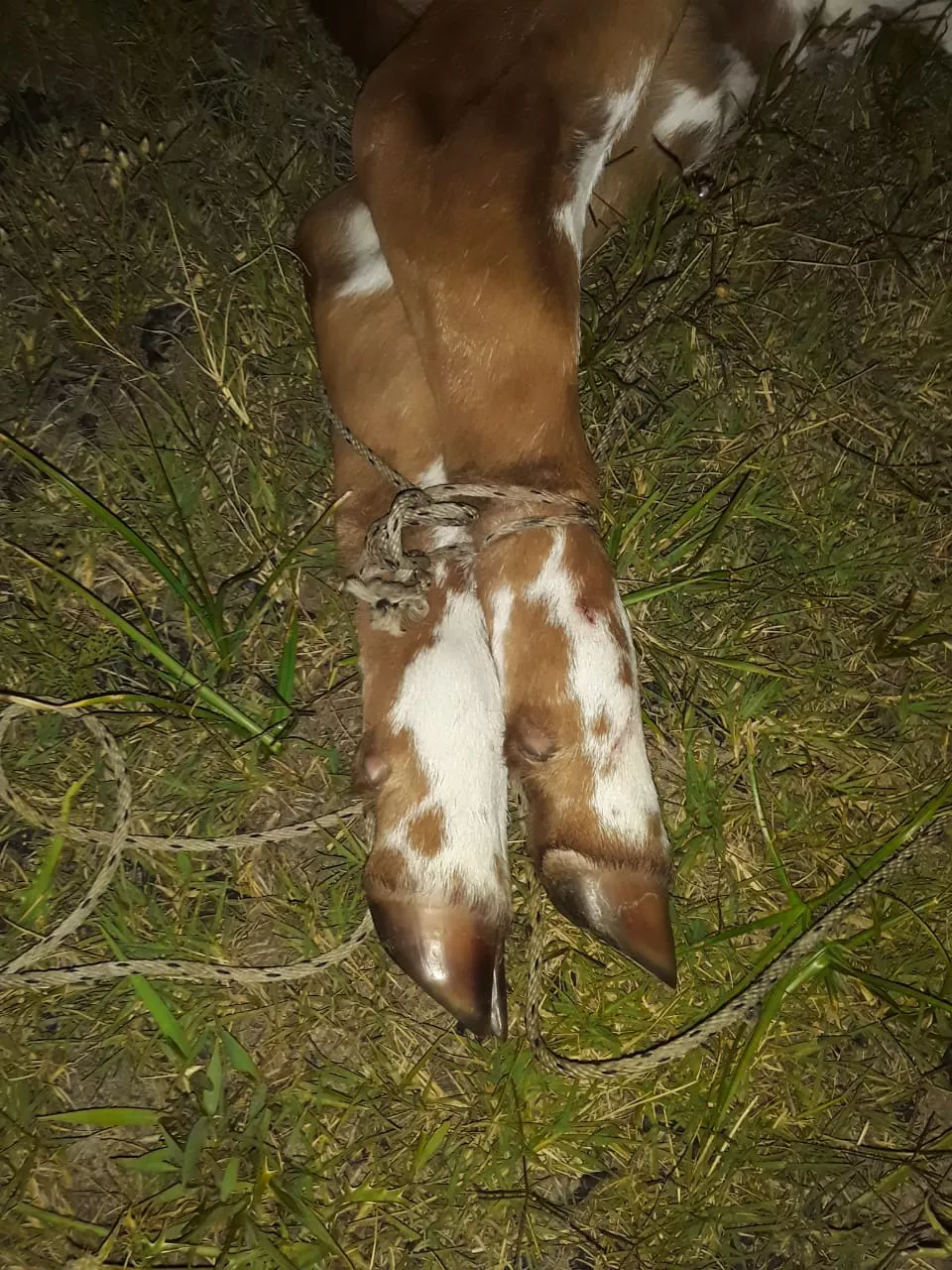 c306aced-aba9-43c3-85f1-60329aa872d3