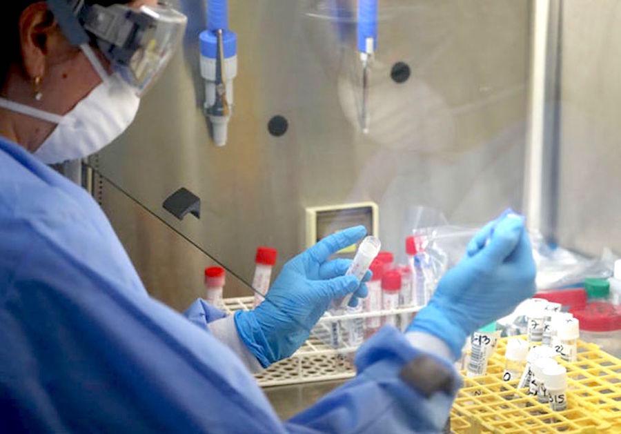 laboratorio molecular